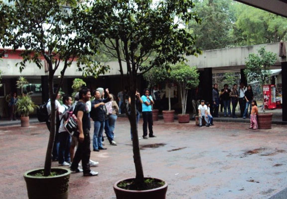 Vista desde la ventana