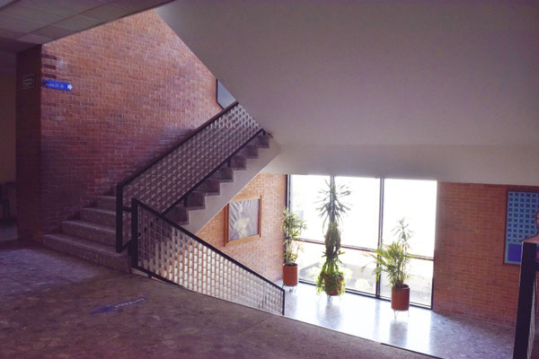 Grupo de alumnos y docentes