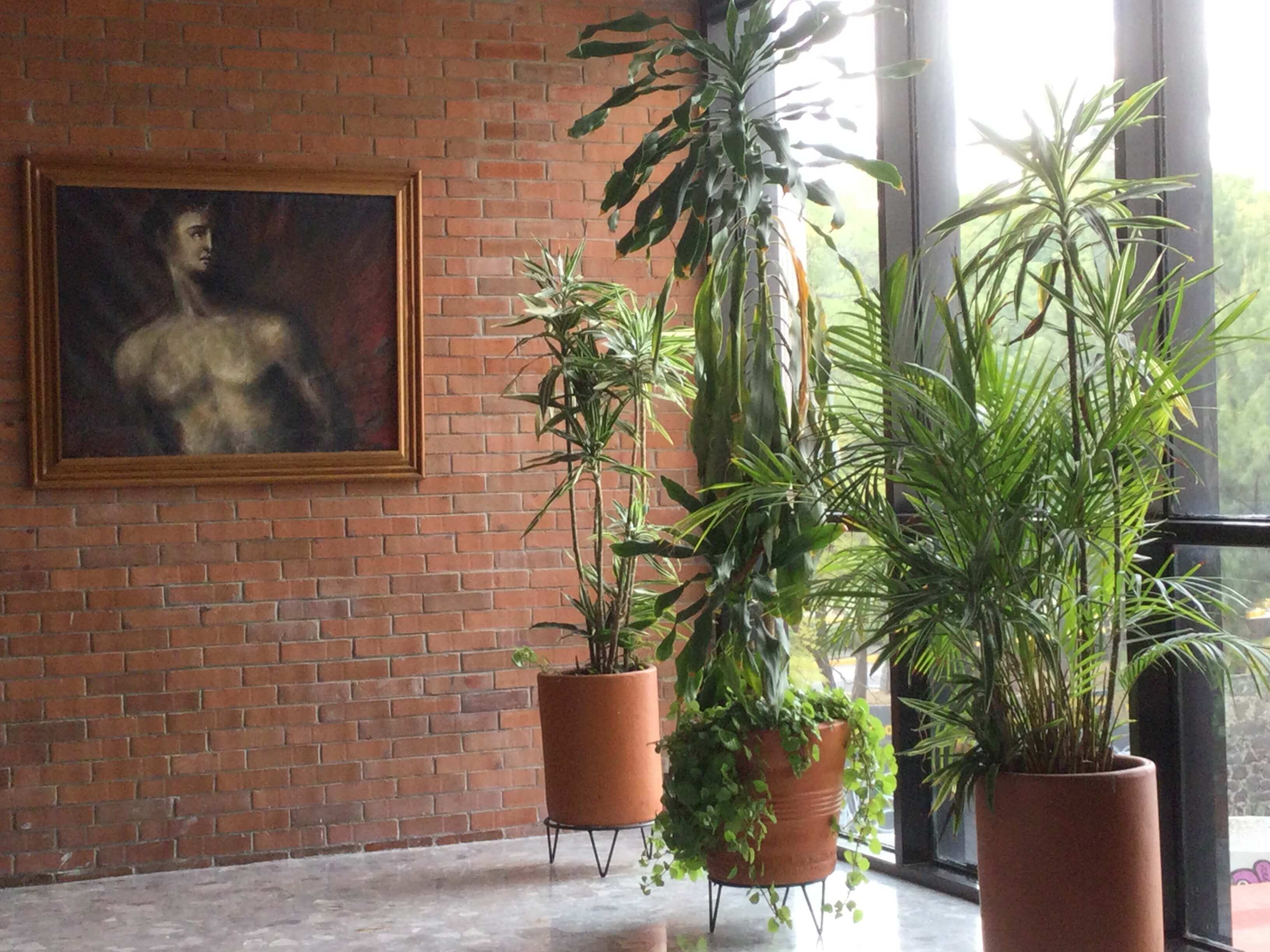 Entrada principal del campus